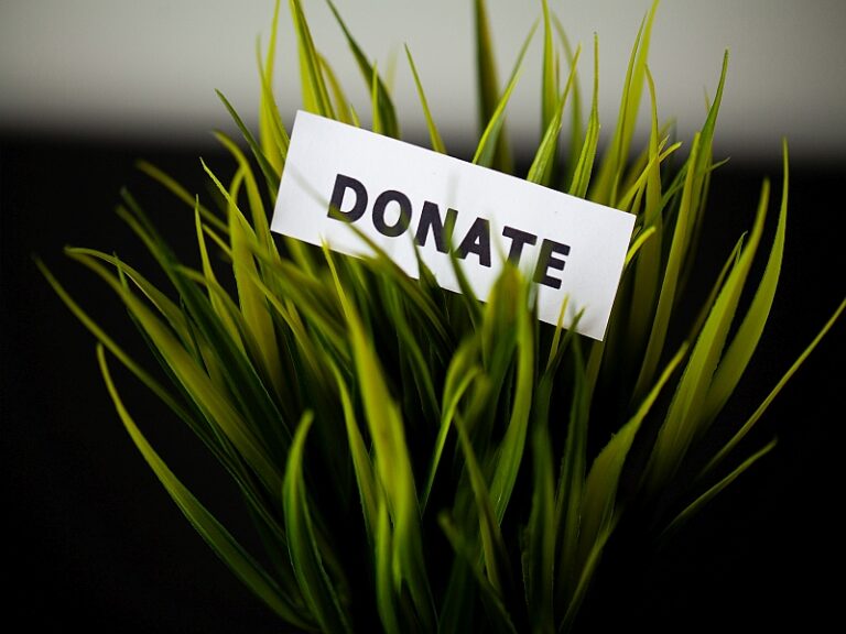 Donate plant with dollars on wood desk